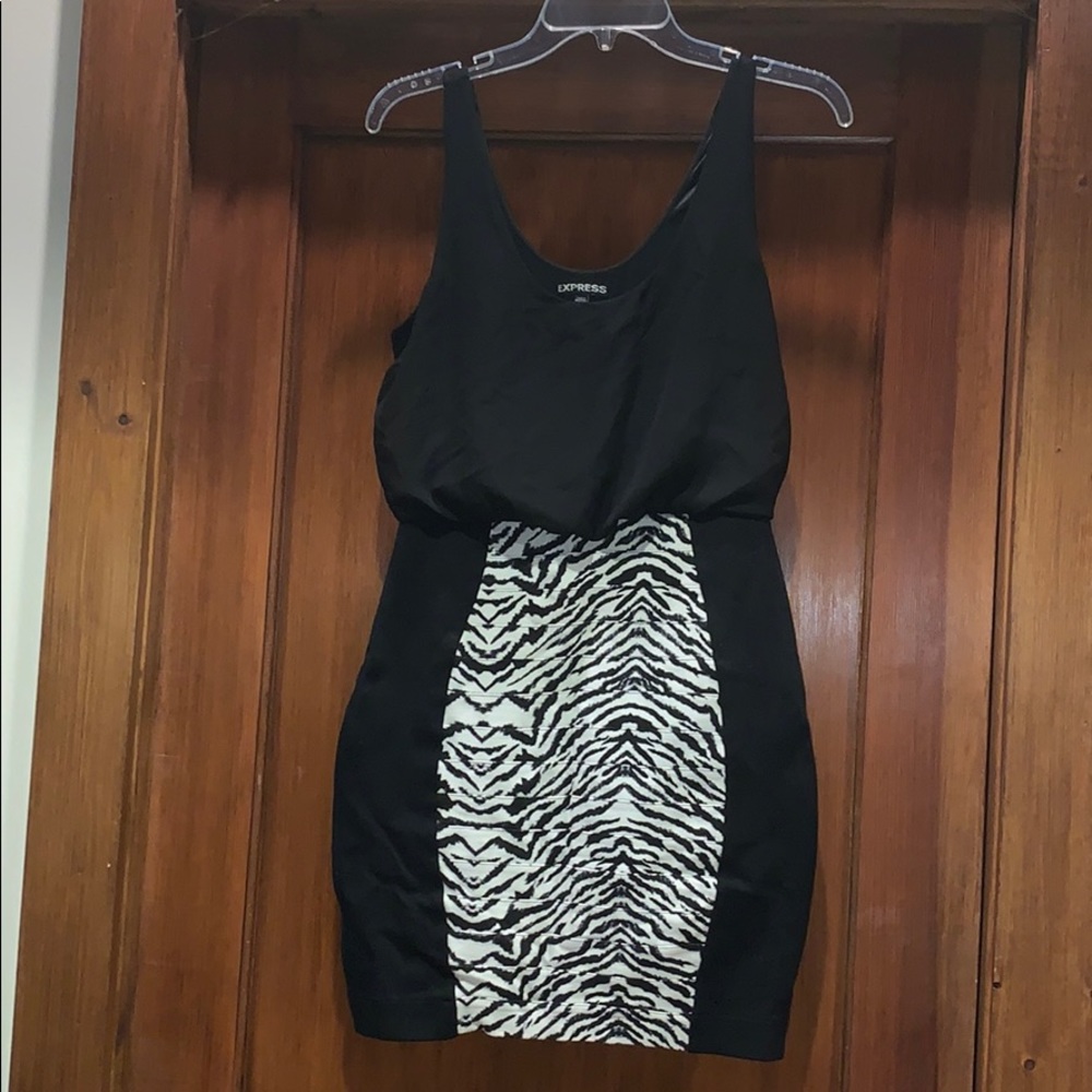 Zebra Express Dress